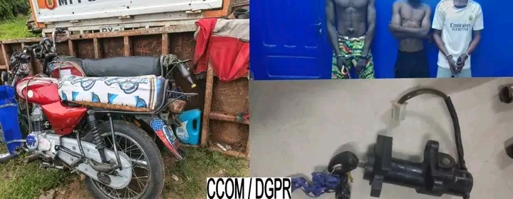 Démantèlement d’un réseau de voleurs de motos et de cabris à Tchaourou : Trois suspects arrêtés